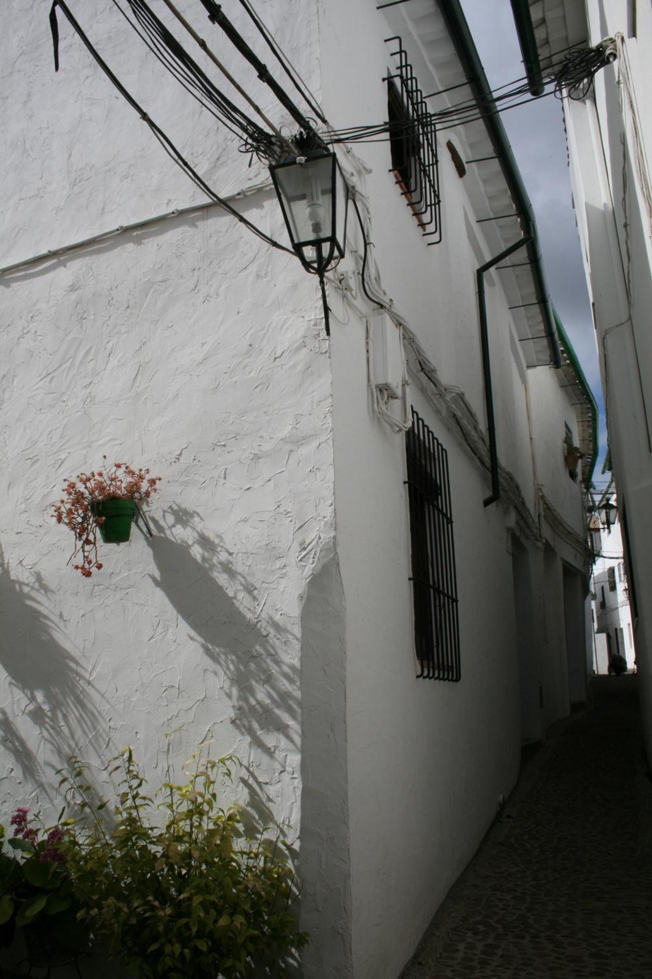 Zambra *