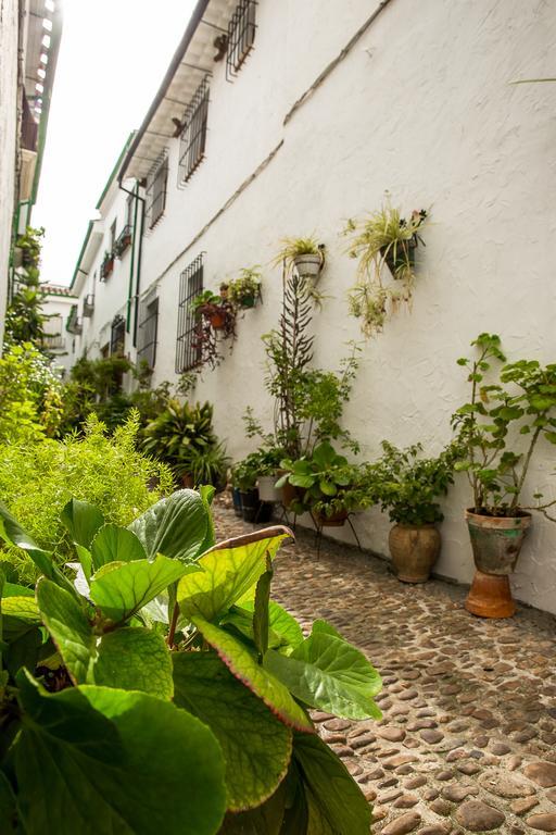 Casa rural Zambra